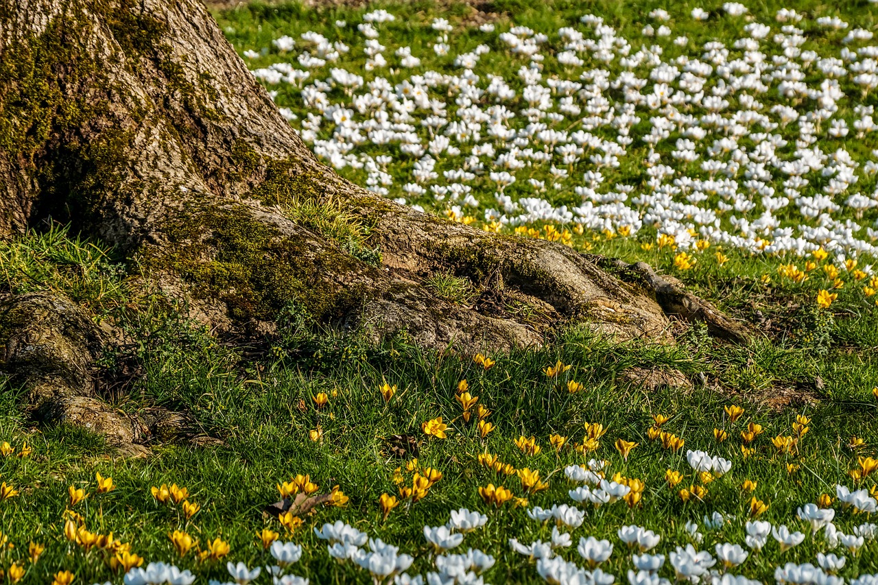 Lichtblauw en groen lente-tapijt in woonkamer.